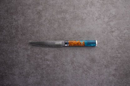 Kaigan 67 Layer Japanese Damascus with Burlwood + Acrylic - Individual Knives