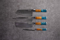 Kaigan Damascus Knife Set (4-Piece)