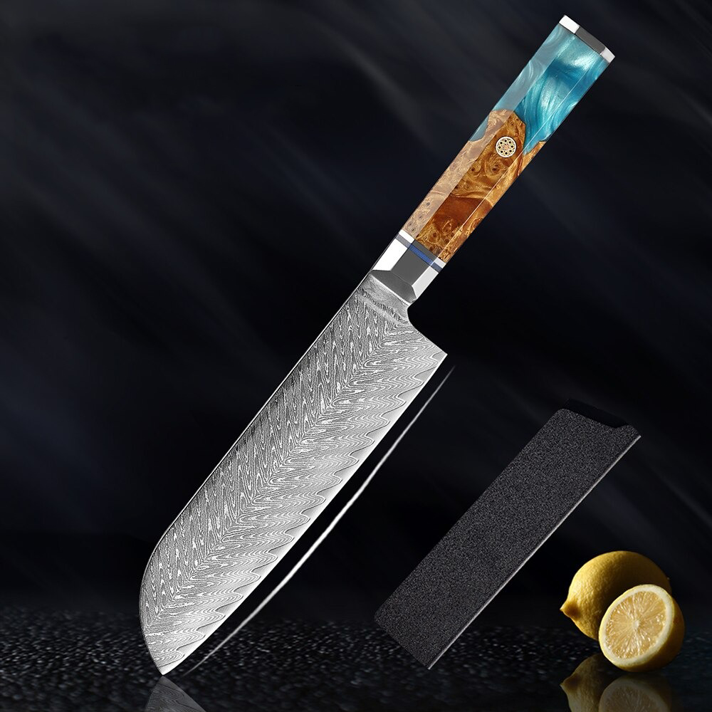 Kaigan Series Individual Damascus Knives